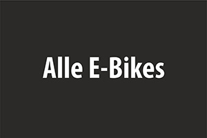 Alle-E-Bikes-Zweirad-Fuhr-Kategorie
