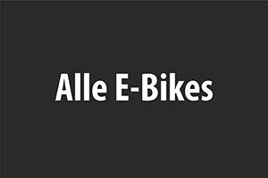 E-Bike