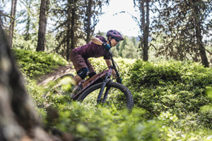 E-MTB FULLY