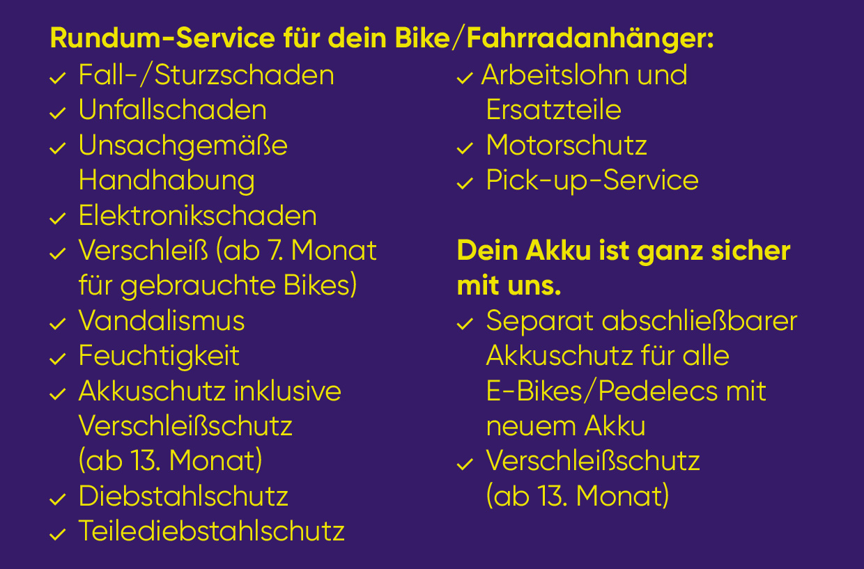 Uebersicht-Versicherung-E-Bike-linexo-wertgarantie-02